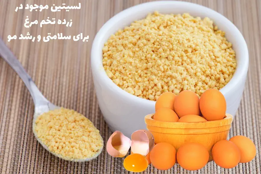 لسیتین موجود در زرده تخم مرغ برای سلامتی و رشد مو